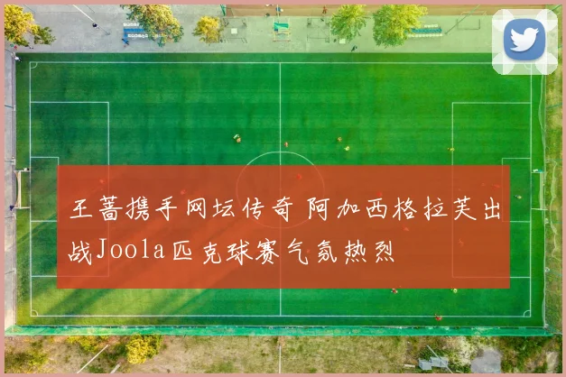 王蔷携手网坛传奇 阿加西格拉芙出战Joola匹克球赛气氛热烈