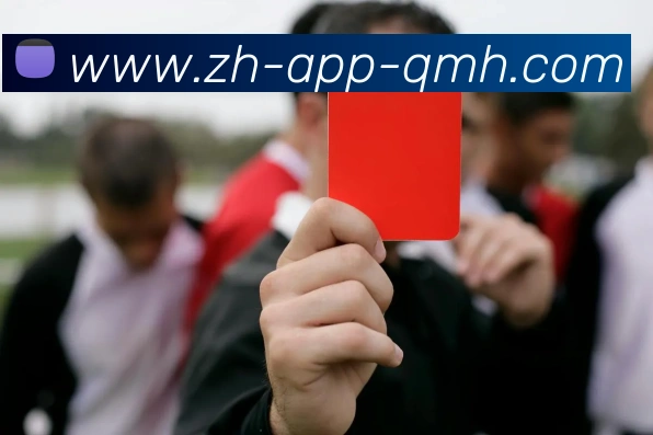 球盟会平台生态图